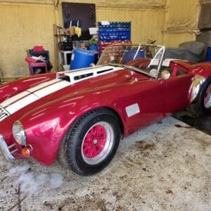 V12 5.3L Dax Cobra